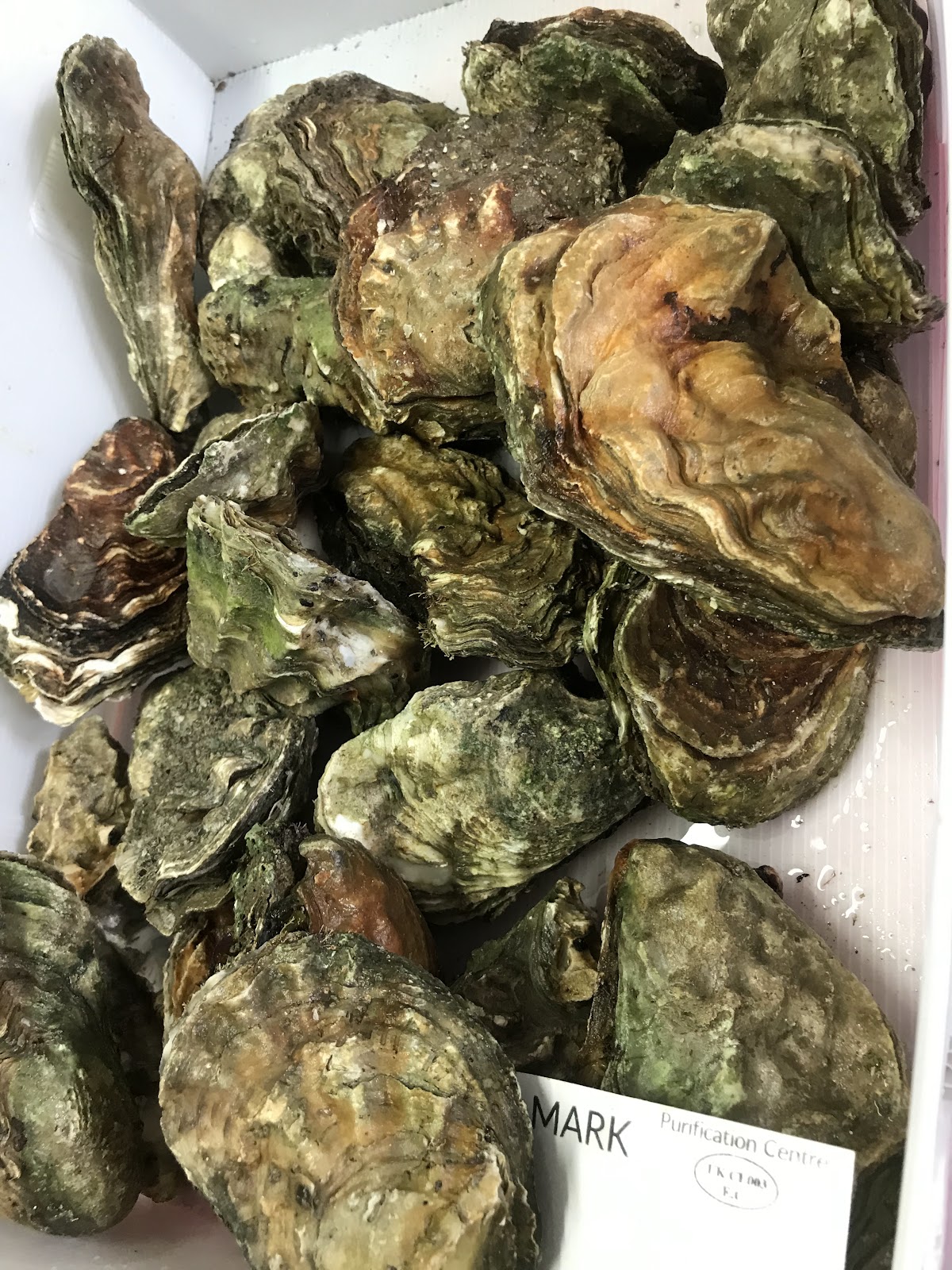Live Seafood Limited — photo 2