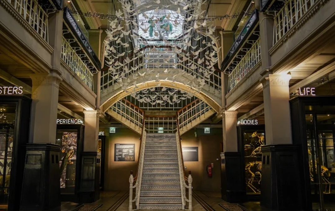 Manchester Museum, Manchester