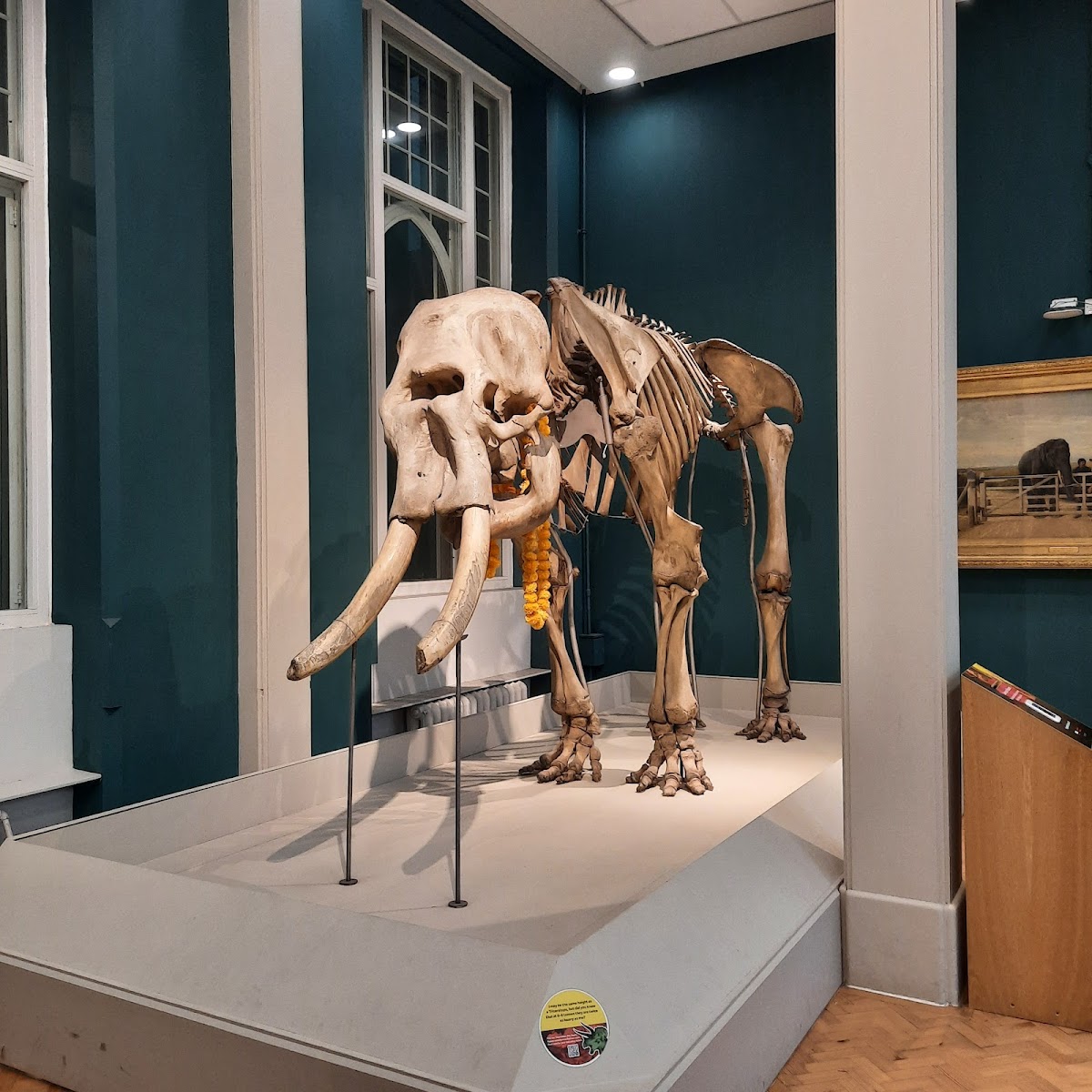 Manchester Museum — photo 2